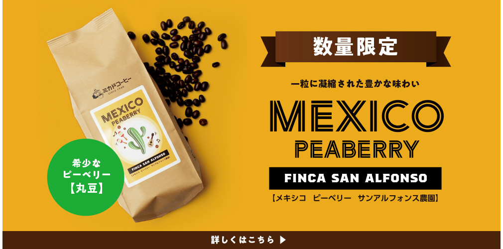 メキシコピーベリー