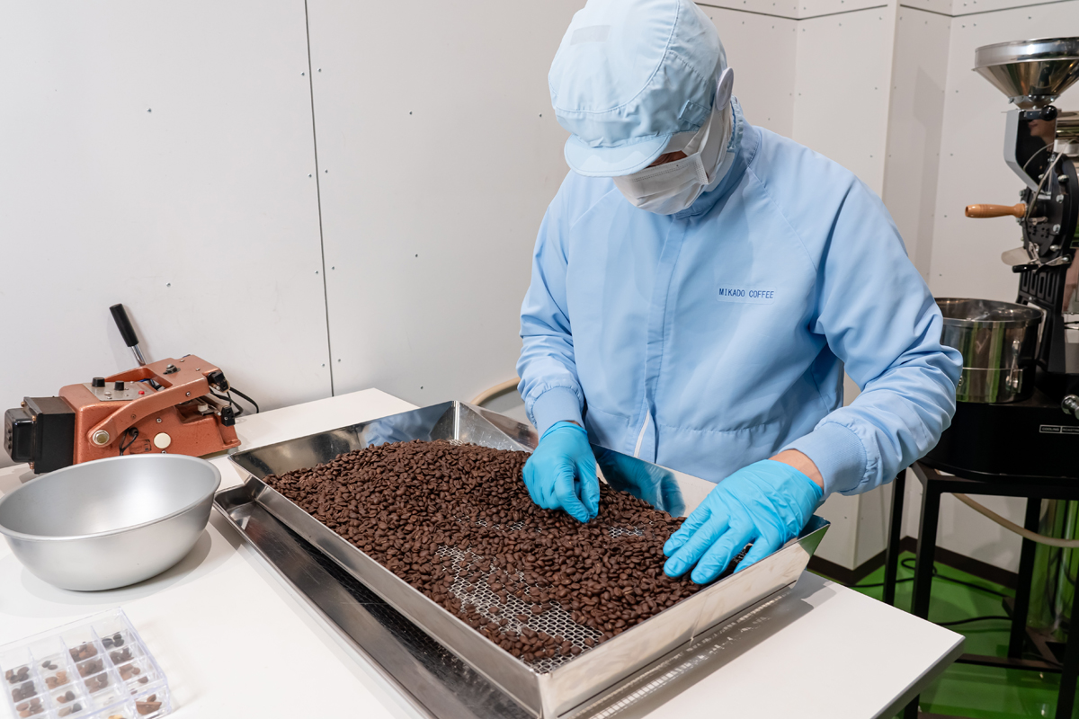 焙煎豆の手選別