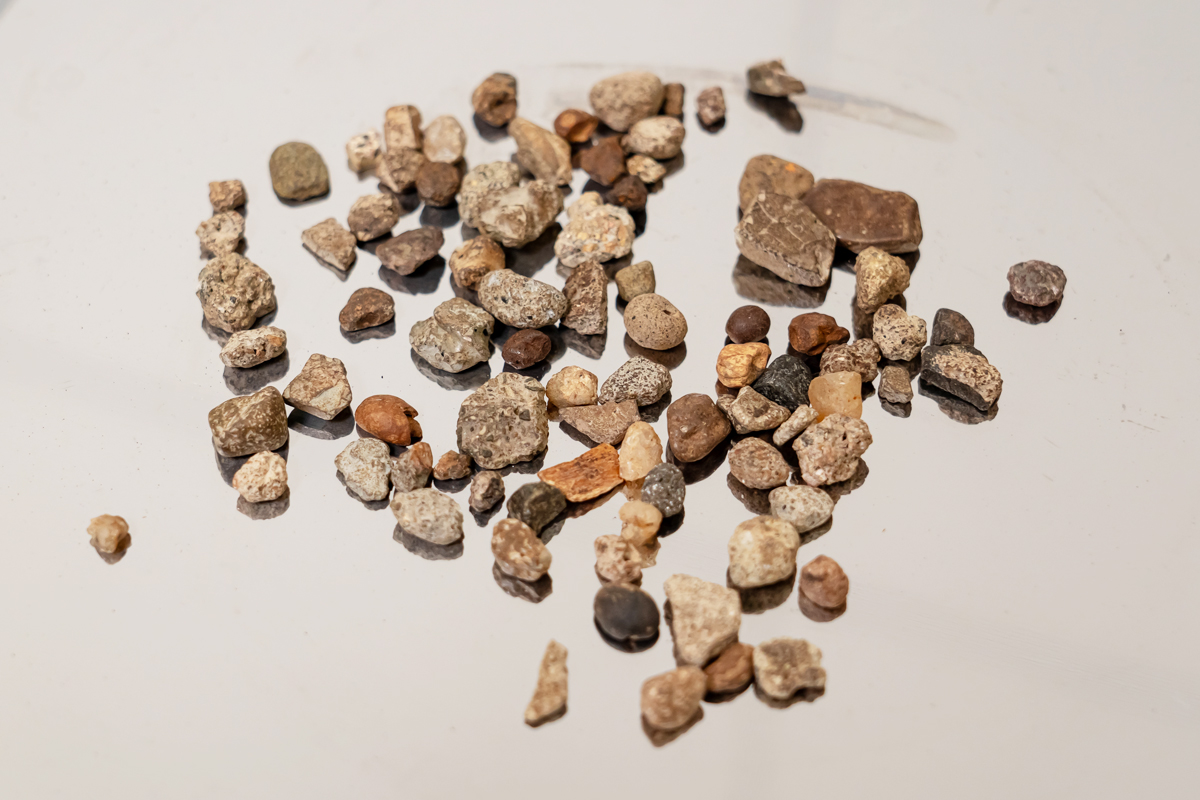 検出された異物